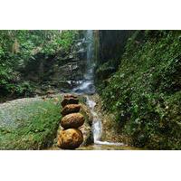 Tijuca Forest Hiking Tour Including Waterfalls