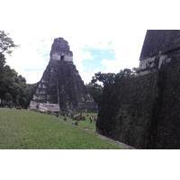 Tikal Maya Ruins