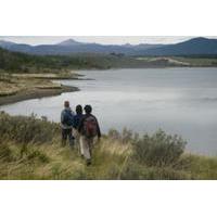 Tierra del Fuego Eco-Adventure: Beagle Channel Canoeing, Penguin Colony and Gable Island