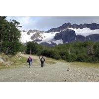 Tierra del Fuego National Park Hike and Canoe Tour