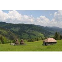 Tirgu Mures Airport Private Arrival Transfer