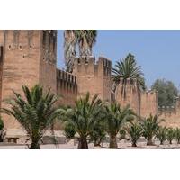 Tiout Oasis and Taroudant Guided Day Tour from Agadir