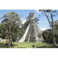 Tikal Maya Ruins Full Day Tour from Guatemala City