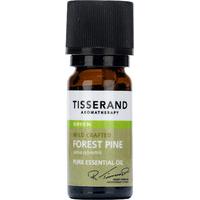 Tisserand Forest Pine Wild Crafted Essential Oil 9ml