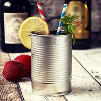 tin can cocktail cup silver 10oz 280ml case of 24