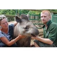 Tickle a Tapir Experience for Two