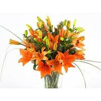 Tiger Lilies