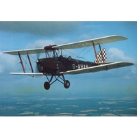 Tiger Moth Flight (30 Minutes)