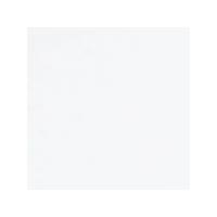 Tiziano Pastel Paper 160gsm 700 x 500mm - White. Each