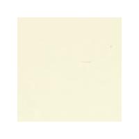 Tiziano Pastel Paper 160gsm 700 x 500mm - Deep Cream. Each