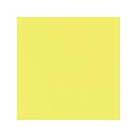 Tiziano Pastel Paper 160gsm 700 x 500mm - Lemon Yellow. Each