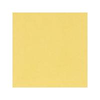 tiziano pastel paper 160gsm 700 x 500mm fawn each