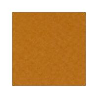 Tiziano Pastel Paper 160gsm 700 x 500mm - Toffee. Each
