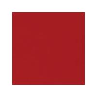 Tiziano Pastel Paper 160gsm 700 x 500mm - Red. Each