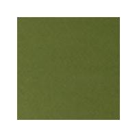 Tiziano Pastel Paper 160gsm 700 x 500mm - Olive. Each