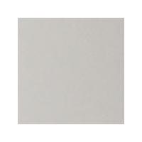 tiziano pastel paper 160gsm 700 x 500mm light grey each