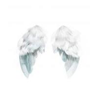 tilda feather angel wings white