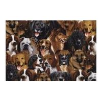 timeless treasures mini dogs poplin quilting fabric natural