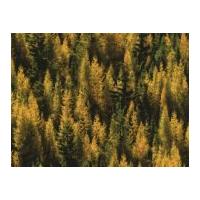 Timeless Treasures Tamarack Trees Poplin Quilting Fabric Gold