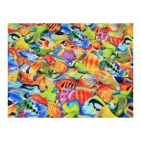 timeless treasures tropical fish quilting fabric