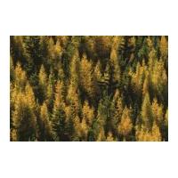 Timeless Treasures Tamarack Trees Poplin Quilting Fabric