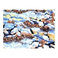 Timeless Treasures Puffins Quilting Fabric Blue