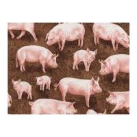 Timeless Treasures Pigs Poplin Quilting Fabric Brown