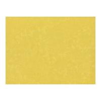 Timeless Treasures Spring Basic Poplin Quilting Fabric Butter