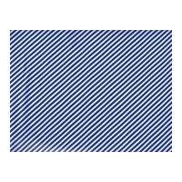 Timeless Treasures Bias Stripe Poplin Quilting Fabric Blue