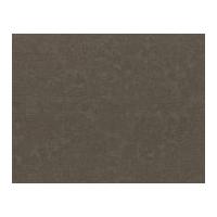 Timeless Treasures Spring Basic Poplin Quilting Fabric Oyster