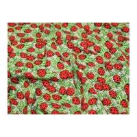 Timeless Treasures Ladybirds & Flowers Quilting Fabric