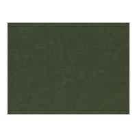 Timeless Treasures Spring Basic Poplin Quilting Fabric Juniper