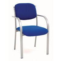 TITAN STEEL SILVER FRAME VISITORS CHAIR G5 ROYAL - WXDXH: 420 X 480 X 830