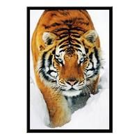 Tiger In Snow Poster Black Framed