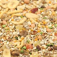 Tidy Mix High Quality Parrot Food 4.6kg