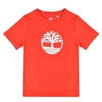 timberland infant boys tree logo t shirt