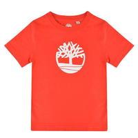 TIMBERLAND Infant Boys Tree Logo T Shirt