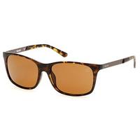 timberland sunglasses tb9095 polarized 52h