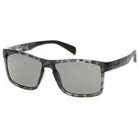 Timberland Sunglasses TB9081 Polarized 56D