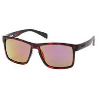 Timberland Sunglasses TB9081 Polarized 54D