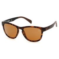 Timberland Sunglasses TB9102 Polarized 52H