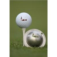 Tin Cup Ball Marker - Havana