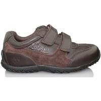 timberland lexington avenue ftk boyss childrens casual shoes in brown