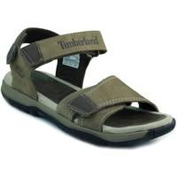 timberland kids sopr boyss childrens sandals in brown