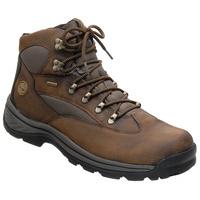 timberland chocorua trail mid gore tex brown green