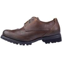 Timberland Tckhd Wingtip men\'s Casual Shoes in Brown