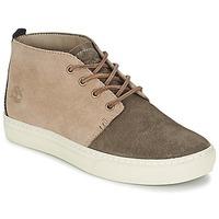 Timberland ADVENTURE 2.0 CUPSOLE CHUKKA men\'s Shoes (High-top Trainers) in brown