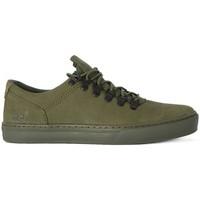 Timberland Adv Cupsole men\'s Shoes (Trainers) in Green