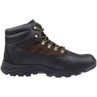 timberland rangeley mid gtx mens shoes high top trainers in brown