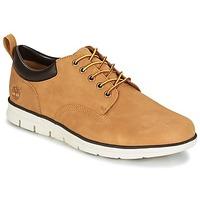 Timberland BRADSTREET 5 EYE OX men\'s Casual Shoes in BEIGE